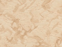 Шёлк Светло-бежевый 2549